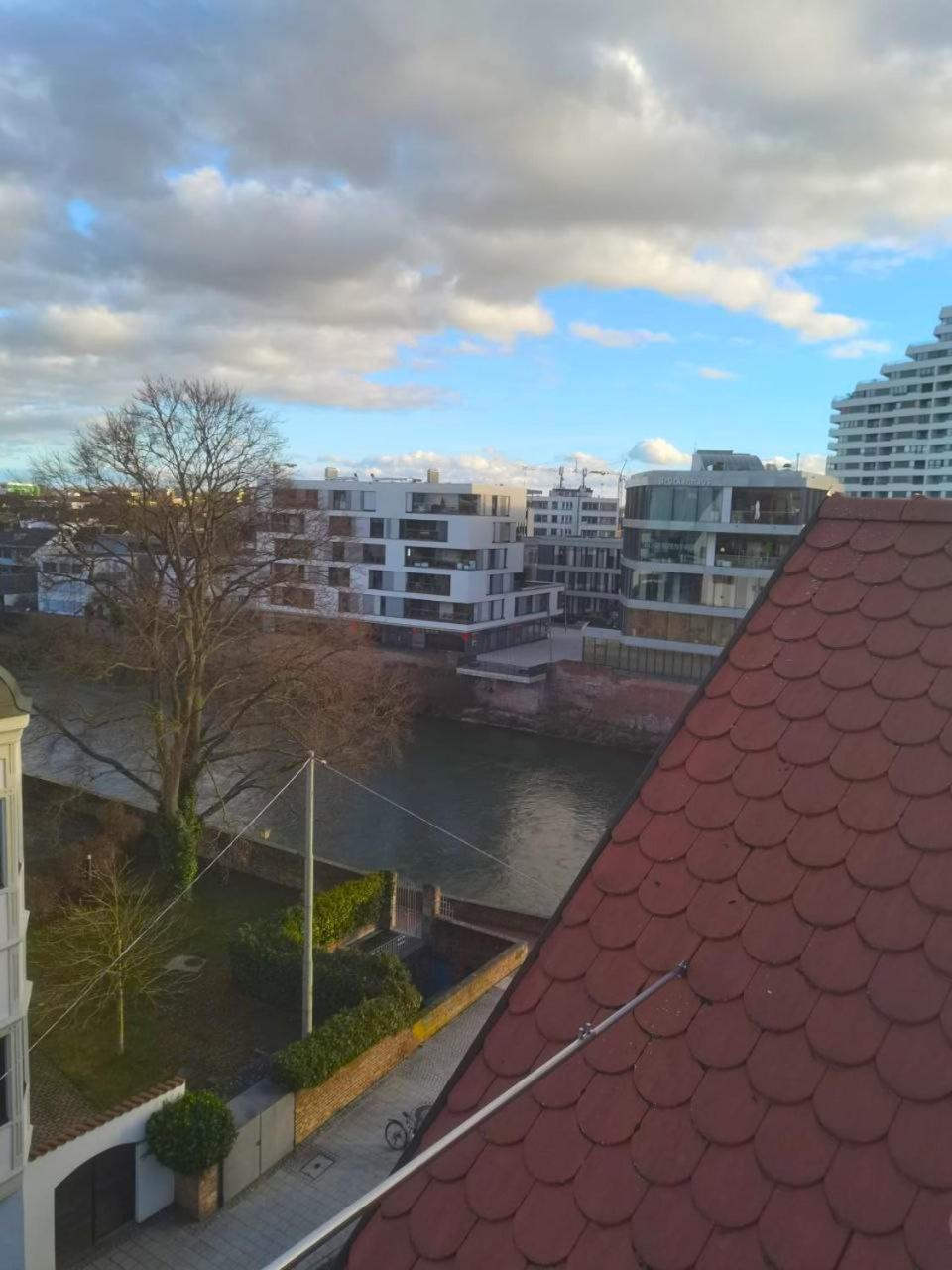 Ruhig Und Zentral An Der Donau Appartement *